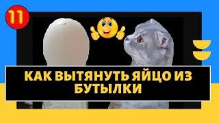 КАК вытянуть ЯЙЦО ИЗ БУТЫЛКИ/Делаем эксперимент наоборот#Let's Do It