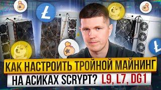 Как и где майнить Bellscoin (BEL) на алгоритме Scrypt? | Тройной майнинг, какой доход?