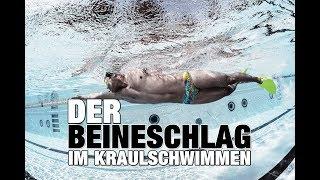 Kraulschwimmen: Warum Beineschwimm Sets wichtig sind | SWIMAZING UNIVERSITY