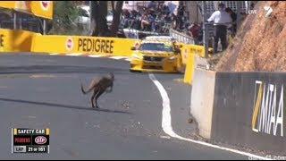 Bathurst vs. Kangaroos
