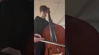 Yellow submarine on upright bass! #thebeatles #music #bass #fyp #shorts #basscover #doublebassist