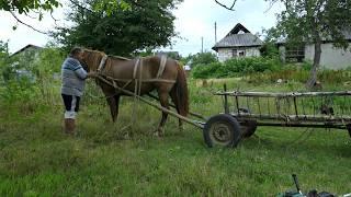 How do people live in a village in Eastern Europe in the summer?  Rural life