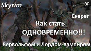 Skyrim. Как ОДНОВРЕМЕННО стать вервольфом и лордом-вампиром!!! Секреты Скайрима #9