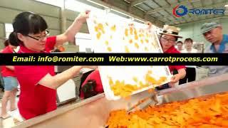 Full Automatic Carrot Washing Peeling Slicing and Drying Plant-Romiter Machinery