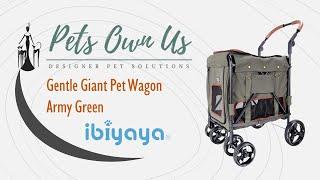 Gentle Giant Pet Wagon by Ibiyaya - Pets Own Us