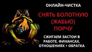 СНЯТЬ ЖАБЬЮ (БОЛОТНУЮ) ПОРЧУ l ОНЛАЙН-РИТУАЛ + ОБРАТКА 