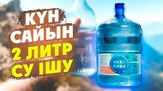 Күніне 2 литр СУ ІШУ Дұрыс па