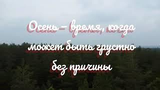 Где-то в пригороде Барнаула/Видеозарисовка/ В осеннем лесу.