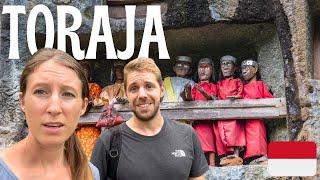 Culture Shock in TORAJA SulawesiIndonesia Vlog: Ke'te Kesu, Londa, Lemo, Tongkonan, Jesus Statue