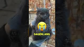 Bekijk deze Video Voor Je In Een Hotel Gaat!