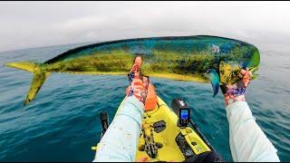 How To Catch Mahi Mahi at Los Buzos Panama