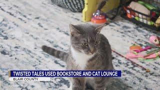 Twisted Tails; new bookstore and cat lounge in Duncansville