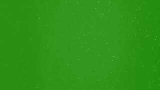 dust particles green screen background