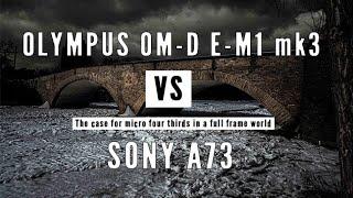 Olympus O-MD E-M1 Mark III vs Sony A73: Why MFT in a Full Frame World?