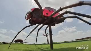 Texas art FPV style Insta360 GO