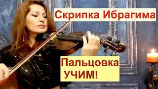 Скрипка Ибрагима/ Пальцовка на скрипке/ НОТЫ+Минус / Великолепный Век