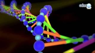 Biología: ADN