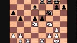 Anatoly Karpov's Top Games: Karpov vs Vlastimil Hort