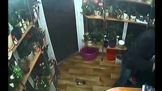 Оперативне відео