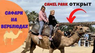 КИПР влог: парк  открыт!  Camel park в Mazotos! Девчонкам и мальчишкам, а также их родителям!