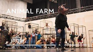 Masks, decor and the story of Animal Farm | behind the scenes [1/2] | Dutch National Opera