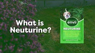 What is Neuturine?