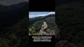 #проводник #история #вов #память #археология #помнимгордимся #поиск #поисковик #туапсинскийрайон