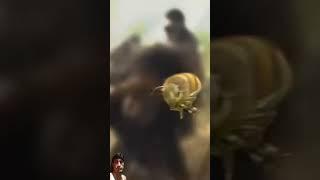 Fighting Movie seen | #shortsvideo #shortsfeed #movieseen