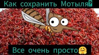 Как сохранить мотыля?  #мотыль #советрыбака #рыбалка