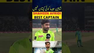 SHAHEEN AFRIDI BEST CAPTAIN | PAKISTAN SUPER LEAGUE 2025 HIGHLIGHTS TODAY | PSL 2025 HIGHLIGHTS