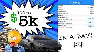 $100 TO 5K IN A DAY! (FOREX ACCOUNT FLIP) EASY MONEY!!