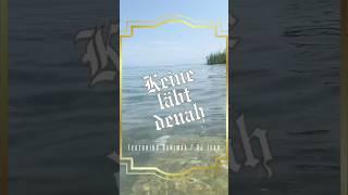 KEINE LÄBT DENAH #poetry #rap #youtubeshorts