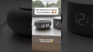 Купить Марусю или Алису реально в Inst:electronics_latvia ️#колонки #маруся #дом #интерьер #подарок