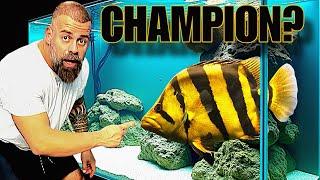 THE MOST EXPENSIVE FISH COMPETITION IN THE WORLD!!! PART 1