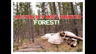 Australia's Most HAUNTED Forest. (Scary!)