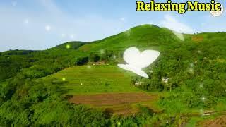 The word’s Best Classical instrument ️Relaxing Music Guitar