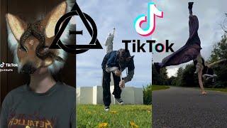 Therian and Quadrobics TikToks || Compilation  || Alterhumans of TikTok #29