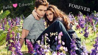 Bella & Edward - A Thousand Years (Twilight Forever)