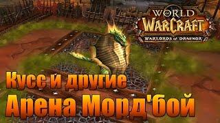 World of Warcraft. Арена Морд'бой.  Кусс и другие.