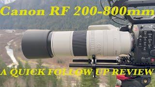 Canon RF 200 800: A Quick Follow Up Review