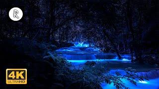 Forest Sounds at Night - Crickets, Creek Water Sounds, Rain & Thunder  Nature Sound