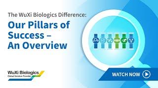 The WuXi Biologics Difference: Our Pillars of Success – An Overview