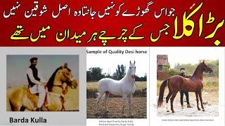 The Most Famous Desi stallion Of Pakistan Barda Kulla || History of this horse will surprise you