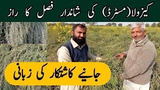 Pakistan mein Raya ki kasht ||CAZOLA Mustard Bumper Crop || Bilal Kanju Official