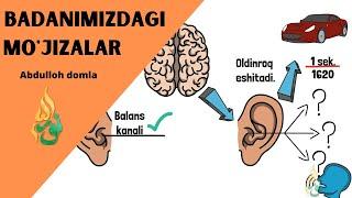 Inson Tanasidagi Mo'jizalar - Abdulloh domla