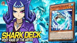 Deck Shark Post Rage of the Abyss| EDOPRO | Replays  + Decklist ️