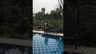 villa puncak bogor