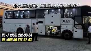 краснодар ташкент автобус. krasnodar tashkent avtobus #Krasnodar #tashkent #avtobus #краснодар