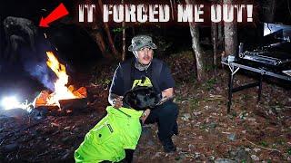 (BIGFOOT FORCED ME OUT!) I CAUGHT SASQUATCH WHILE CAMPING In HAUNTED MOUNTAIN RANGE