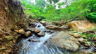 Beautiful View of Water Flowing and Rushing Streams Sounds on the side the cliff For Defeat Stress